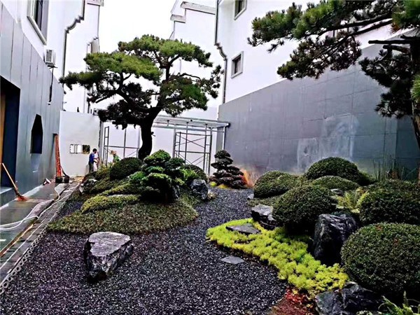黑山石